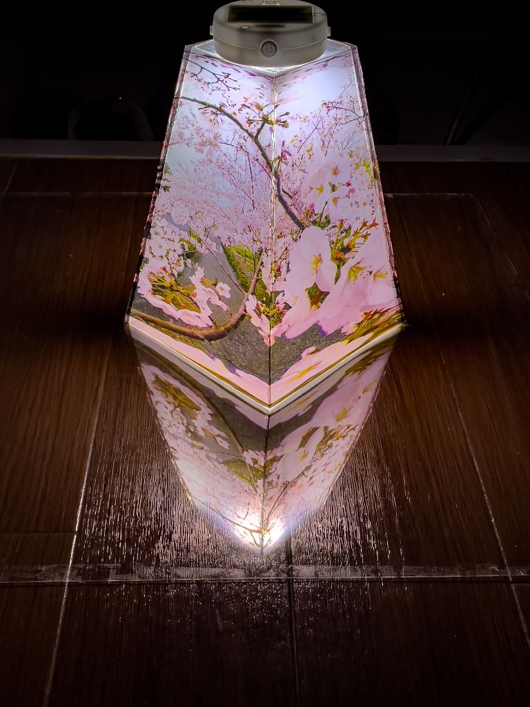 Hakuryu 作品